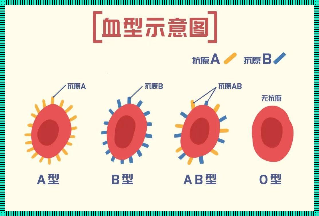 O型血，那传说中的“危险分子”