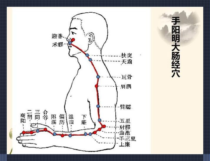 大肠经之路：人体中的讽刺之旅