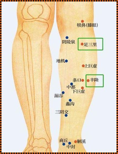 小腿精准地图之幽默自嘲版