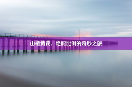 山楂黄芪，绝配比例的奇妙之旅