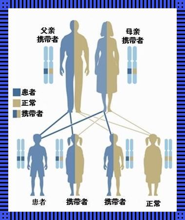 Y染色体那些破事儿：自嘲基因决定我等“英雄”？