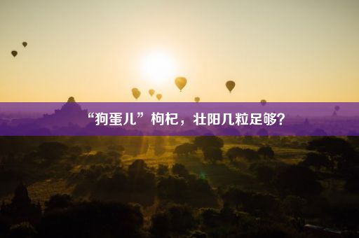 “狗蛋儿”枸杞，壮阳几粒足够？