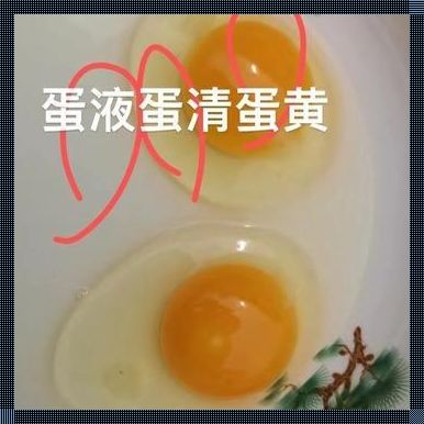 初生蛋价，天价离谱？!