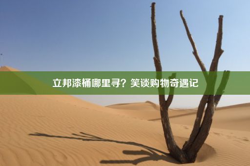 立邦漆桶哪里寻？笑谈购物奇遇记