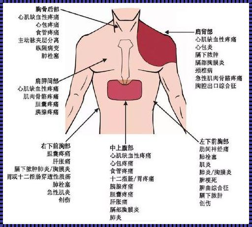 气胸痛这件不大不小的事儿：哪个部位会疼？