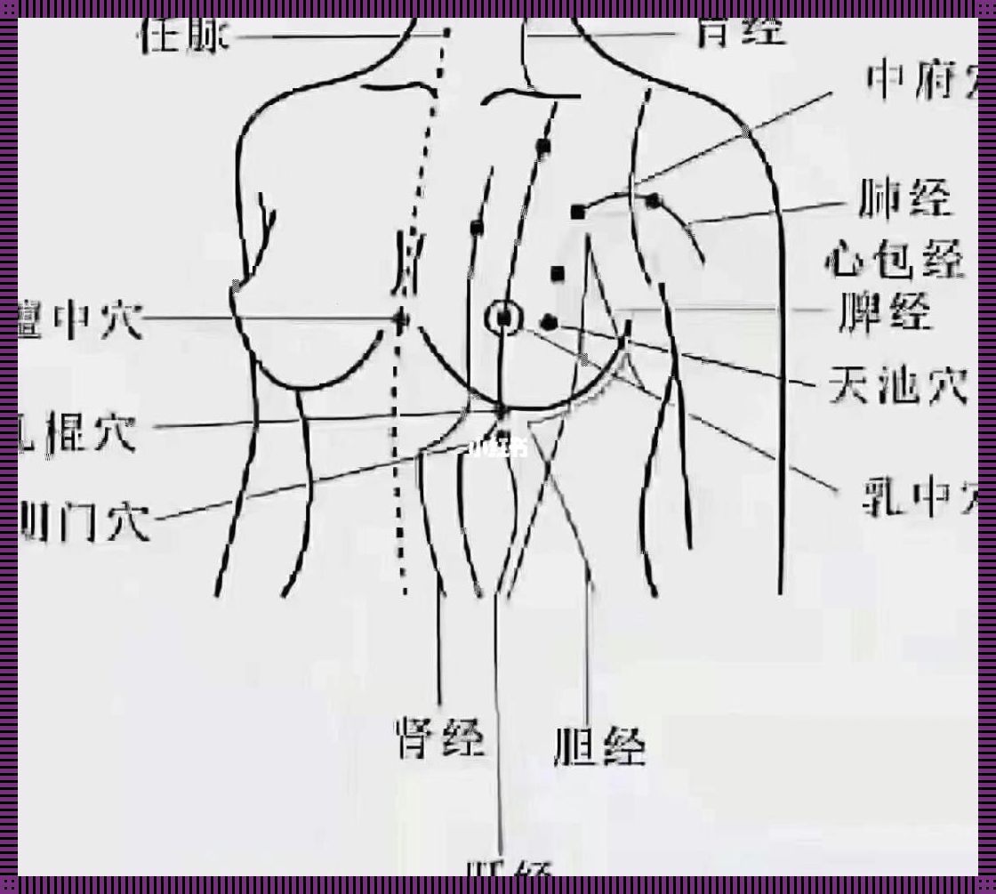 “乳”此风光：经络图里的奥秘