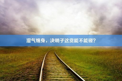 湿气缠身，决明子这货能不能碰？