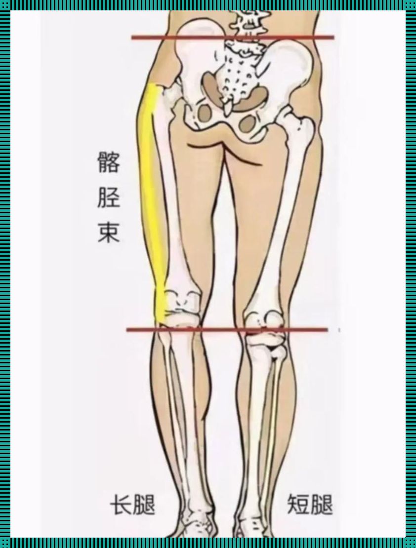 髋关节术后，长短腿之“美”