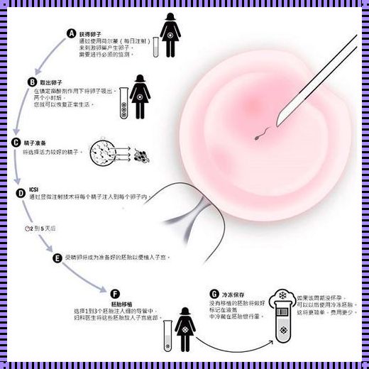 试管后飞：神仙日子何时启航？