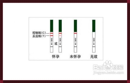 双胎秘籍：自查手册，俏皮版！