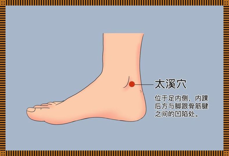 太溪神秘之旅：人体的“溪水”究竟流在哪？