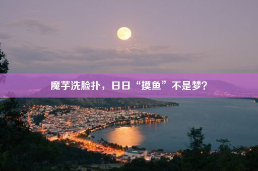 魔芋洗脸扑，日日“摸鱼”不是梦？