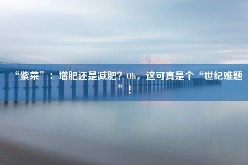 “紫菜”：增肥还是减肥？Oh，这可真是个“世纪难题”！