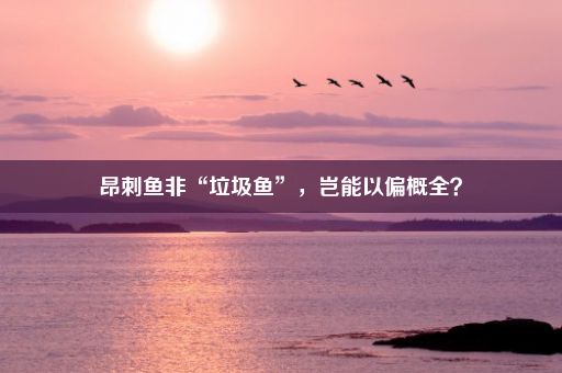 昂刺鱼非“垃圾鱼”，岂能以偏概全？