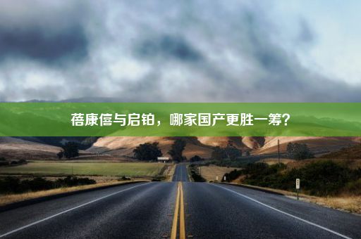 蓓康僖与启铂，哪家国产更胜一筹？