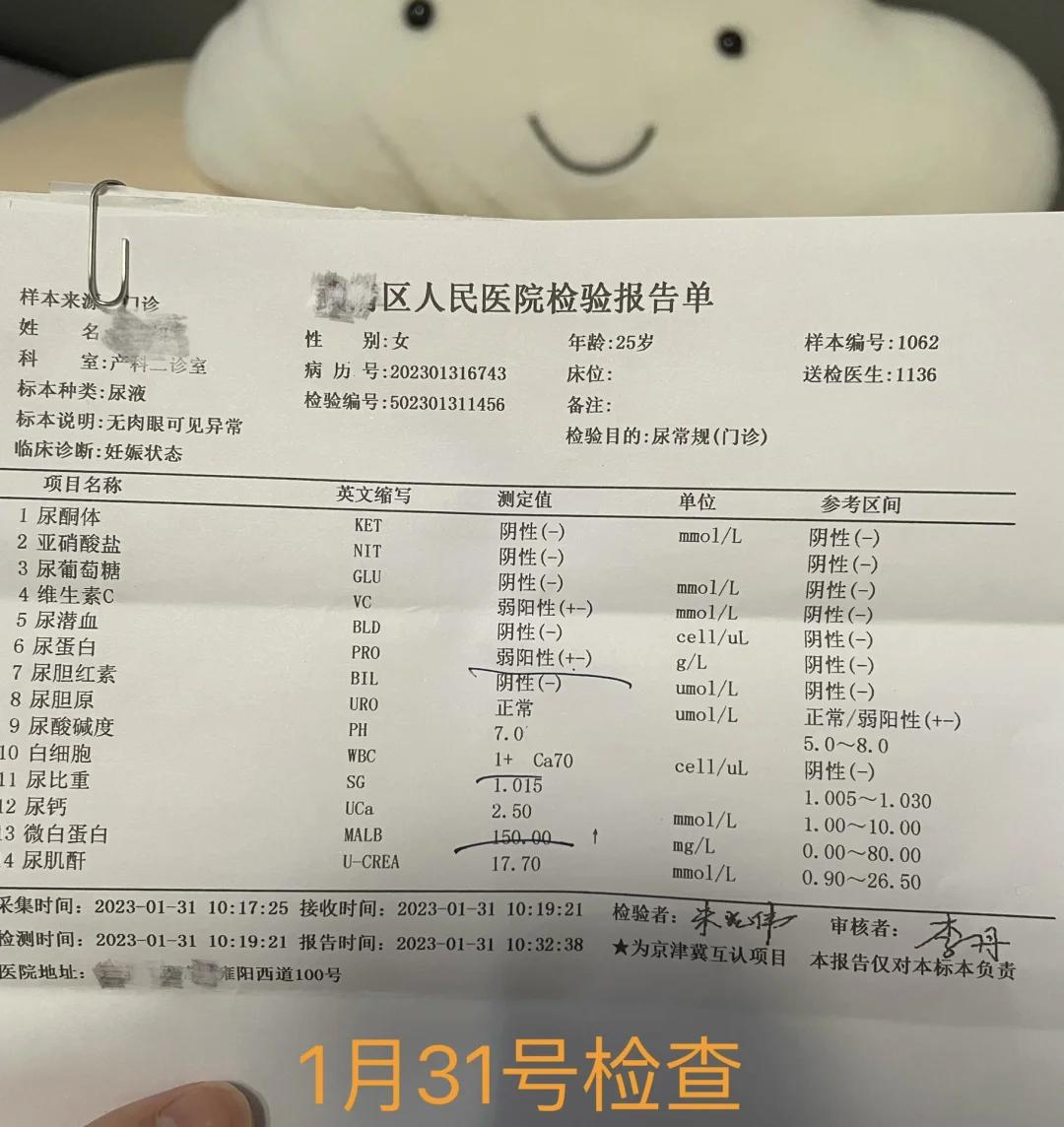 怀孕那些事：白细胞偏高，你闹哪样？