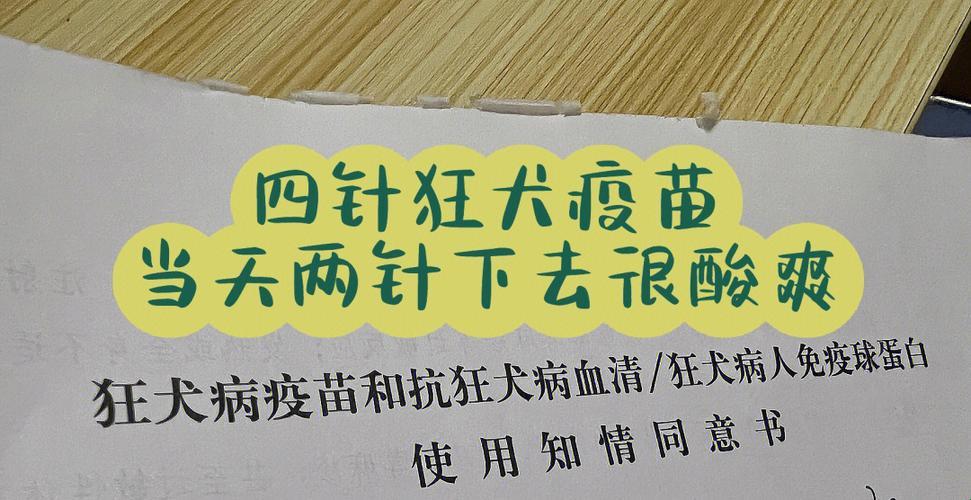 打了两针狂犬疫苗，我决定“狗带”算了！