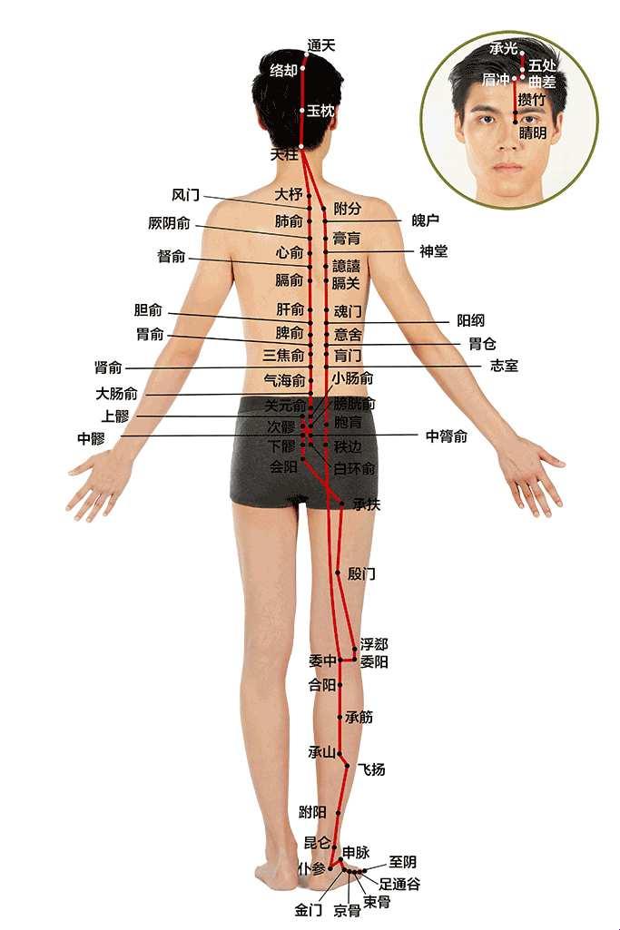 膀胱经位置之谜：人体中的奇幻漂流！