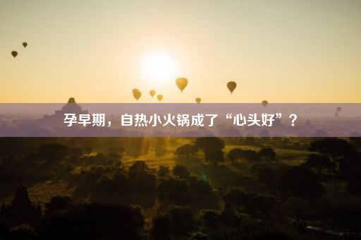 孕早期，自热小火锅成了“心头好”？