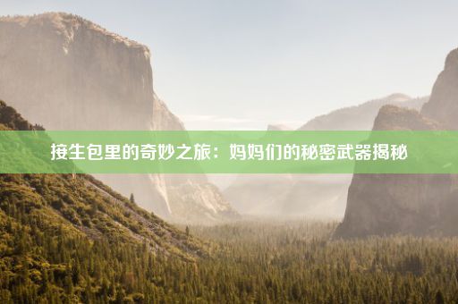 接生包里的奇妙之旅：妈妈们的秘密武器揭秘