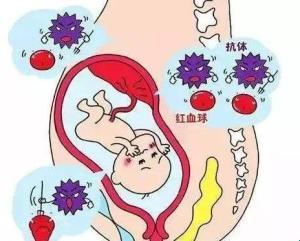 溶血，胎儿的“阿喀琉斯之踵”？