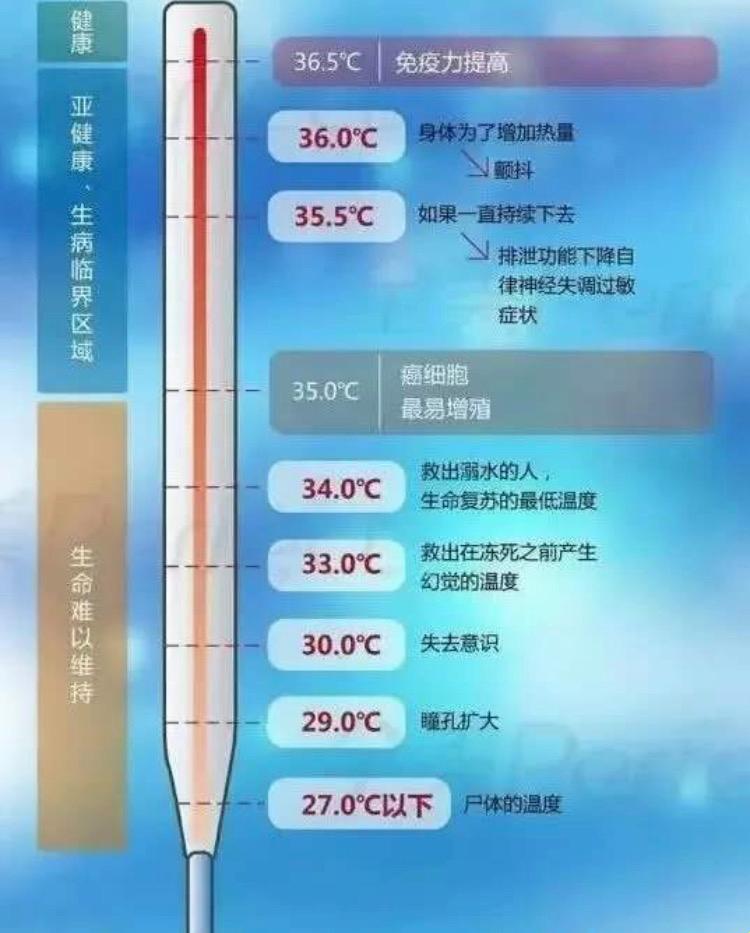 低温下的奥秘：体温低于36度的诡异现象