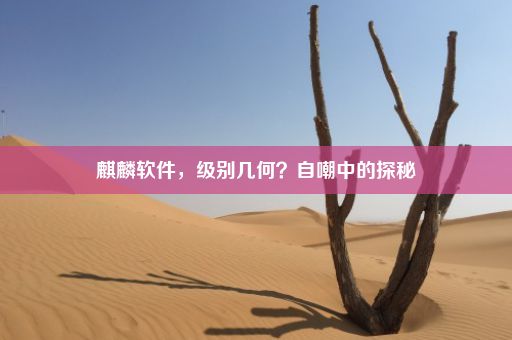 麒麟软件，级别几何？自嘲中的探秘