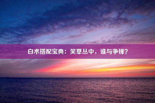 白术搭配宝典：笑草丛中，谁与争锋？