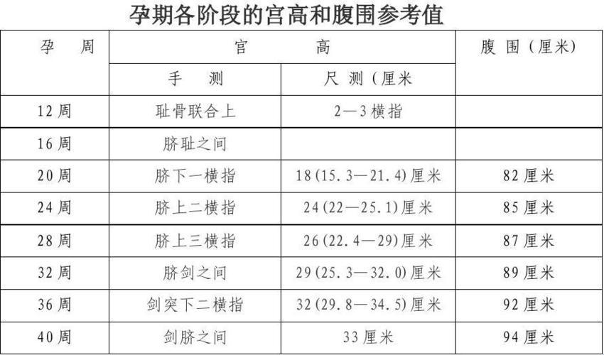 33周宫高腹围对照表：孕妈咪的肚皮“成长日记”