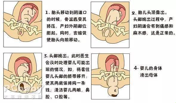 女生生子：荒诞逻辑下的生命奇迹