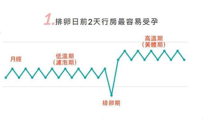 排卵期前几日的滚床单大作战：一触即发的怀孕疑云