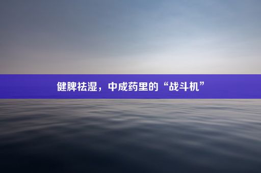 健脾祛湿，中成药里的“战斗机”