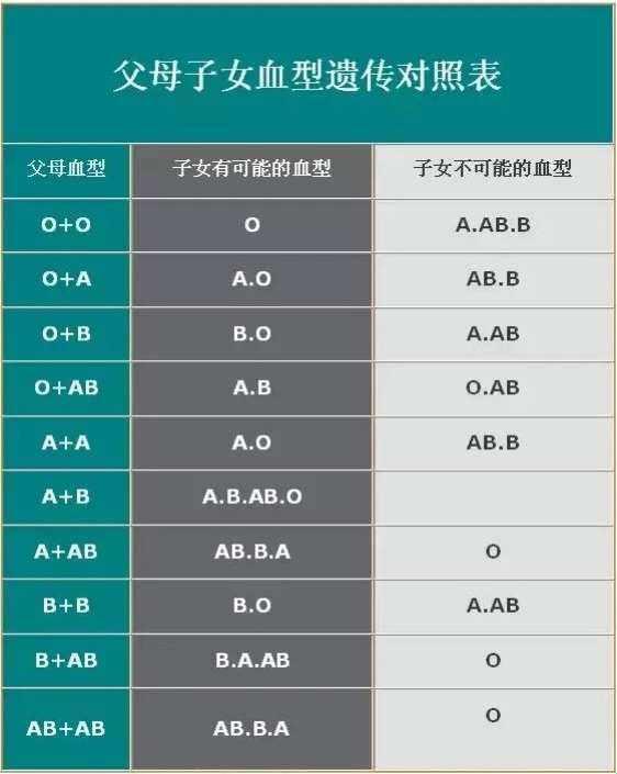 血缘迷宫：探索血型后代关系图的奇妙之旅