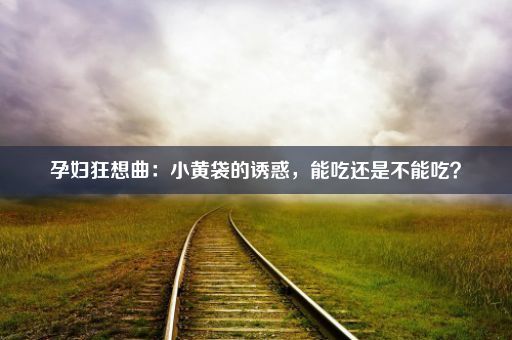 孕妇狂想曲：小黄袋的诱惑，能吃还是不能吃？