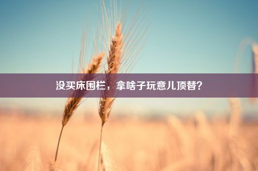 没买床围栏，拿啥子玩意儿顶替？