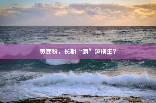 黄芪粉，长期“嚼”趣横生？