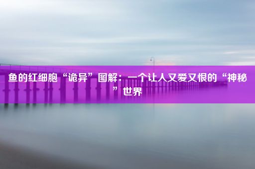 鱼的红细胞“诡异”图解：一个让人又爱又恨的“神秘”世界