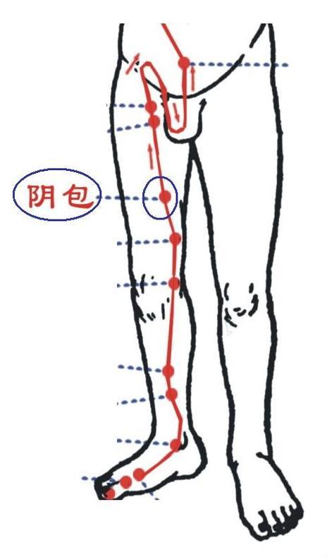 阴包学位，疼在何方？探秘学术圈里的苦与乐