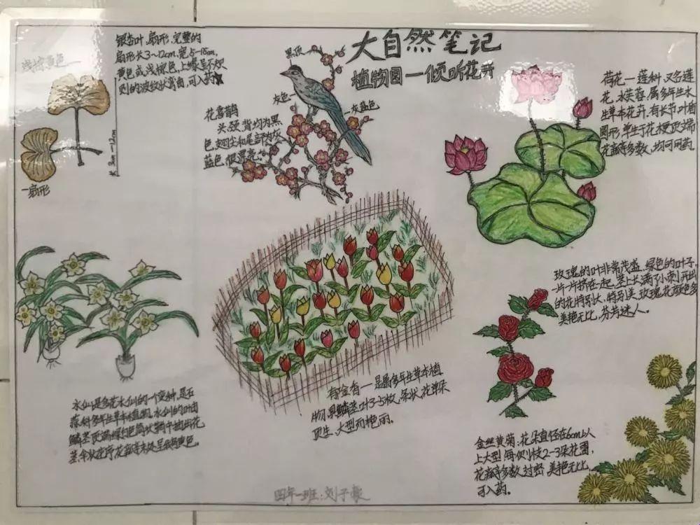 《潮女秘笈：刘嘉阳成长观察，笑谈花絮》