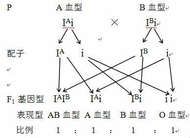 ABO血型遗传大揭秘：笑谈基因的神奇魔法