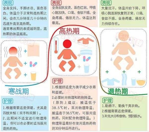 童身异温记：天生的「热度不均」奇观