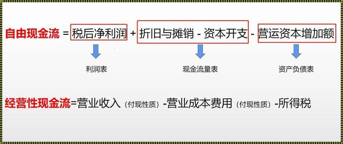 "Python人马配对？笑死！这是全民新宠，女人界的狂潮！"