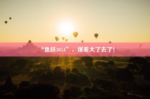 “鱼跃305A”，误差大了去了！