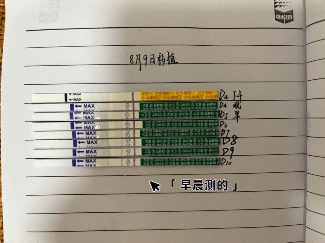 移植第十天，hcg涨幅“惊人”犹如龟速驰骋