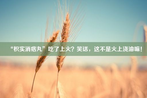 “枳实消痞丸”吃了上火？笑话，这不是火上浇油嘛！