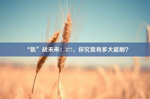 “肌”战未来：377，你究竟有多大能耐？