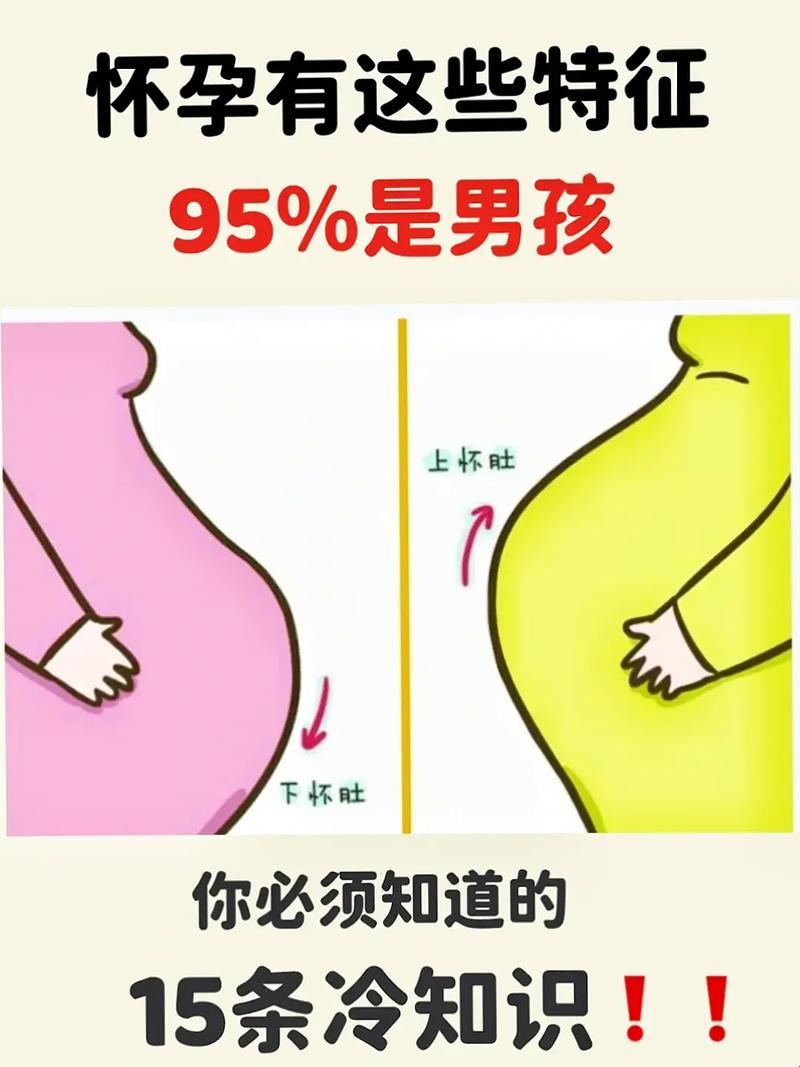 孕相难辨，性别之谜：谁说肚子大就是男孩？