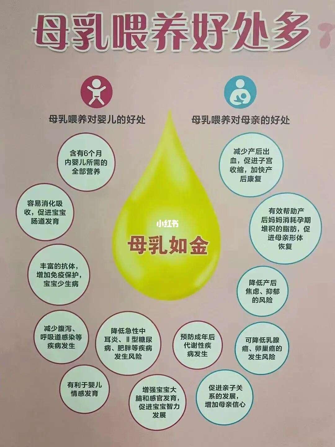 “乳”不可挡：揭秘母乳的神奇力量