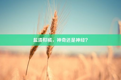 盐渍柑橘，神奇还是神经？