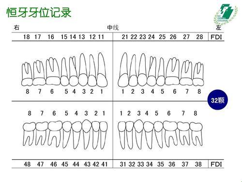 牙位记录法1234，揭秘口腔的秘密地图